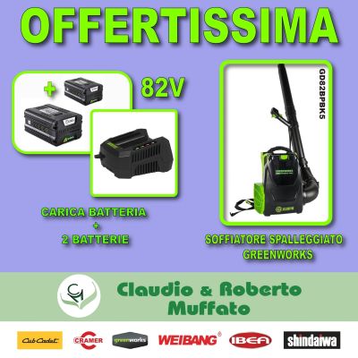 GREENWORKS SOFFIATORE SPALLEGGIATO GD82BPBK5 CON BATTERIA